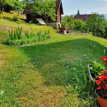 Apartman Draga Bed & Breakfast Mokra Gora Luaran gambar