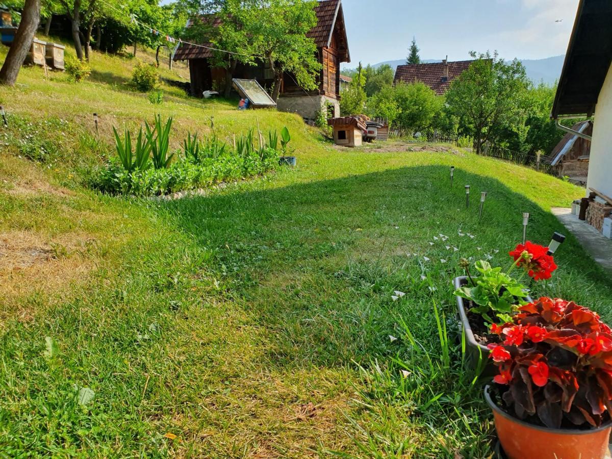 Apartman Draga Bed & Breakfast Mokra Gora Luaran gambar